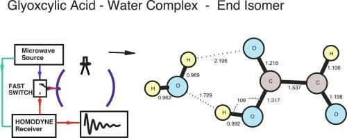 Microwave measurements and structure calculations for a glyoxylic acid – Water complex