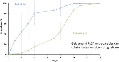 Drug release from PLGA microparticles can be slowed down by a surrounding hydrogel