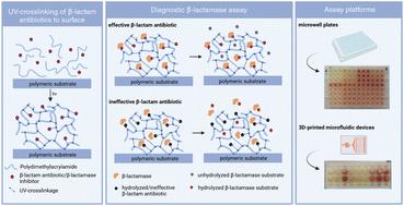 Highly efficient β-lactamase assay applying poly-dimethylacrylamide-based surface functionalization with β-lactam antibiotics and β-lactamase inhibitors†