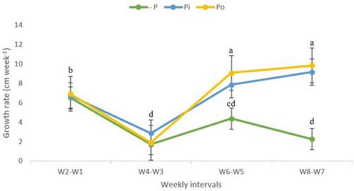 Faba bean (Vicia faba L.) varieties reveal substantial and contrasting organic phosphorus use efficiencies (PoUE) under symbiotic conditions