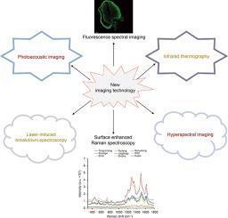 Development status of novel spectral imaging techniques and application to traditional Chinese medicine