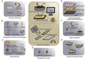 Biosensors for waterborne virus detection: Challenges and strategies