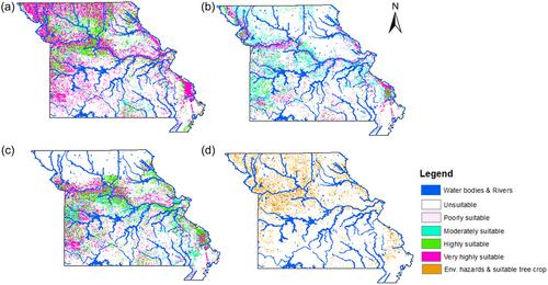 Significant opportunities for tree crop expansion on marginal lands in the Midwest, USA