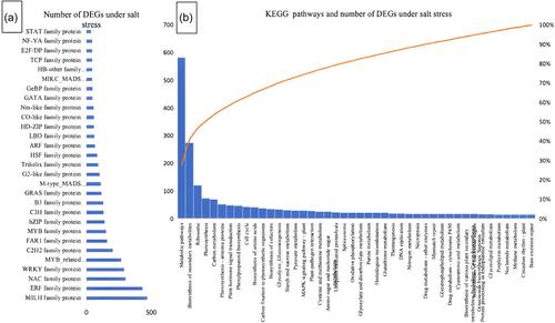 Molecular insights into the salt stress response of Pearl millet (Pennisetum glaucum): Pathways, differentially expressed genes and transcription factors