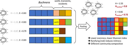 Ecological and evolutionary inferences from aphid microbiome analyses depend on methods and experimental design