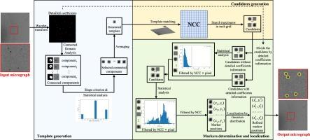 MarkerDetector: A method for robust fiducial marker detection in electron micrographs using wavelet-based template