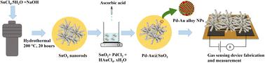 A highly selective, efficient hydrogen gas sensor based on bimetallic (Pd–Au) alloy nanoparticle (NP)-decorated SnO2 nanorods