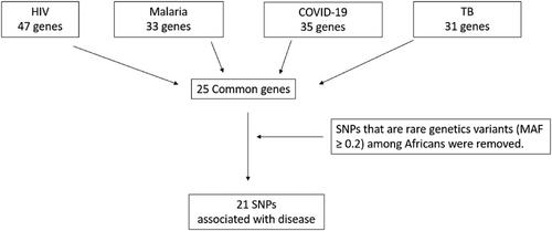 Host Genetic Impact on Infectious Diseases among Different Ethnic Groups