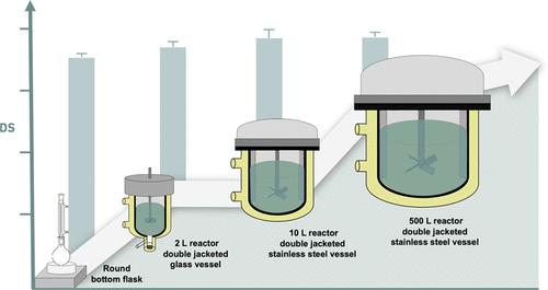 Synthesis of Cyclodextrin-Grafted Chitosan: From Laboratory Scale to Pilot Scale