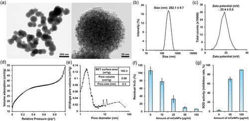 Mesoporous Cerium Oxide Nanoparticles with High Scavenging Properties of Reactive Oxygen Species for Treating Age-Related Macular Degeneration