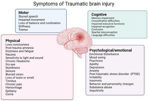 Multifunctional Nanoparticles and Nanoclusters as a Theranostics and Symptoms Disappearing Agent for Traumatic Brain Injury