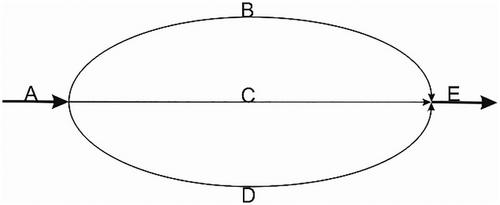 Razor sharp: The role of Occam's razor in science