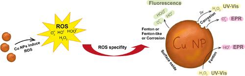 Unravelling the Mechanistic Understanding of Metal Nanoparticle-Induced Reactive Oxygen Species Formation: Insights from a Cu Nanoparticle Study