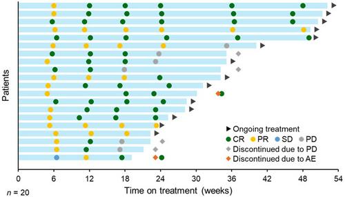 Subcutaneous epcoritamab monotherapy in Japanese adults with relapsed/refractory diffuse large B-cell lymphoma