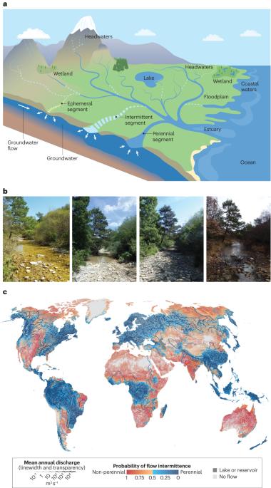 Non-perennial segments in river networks