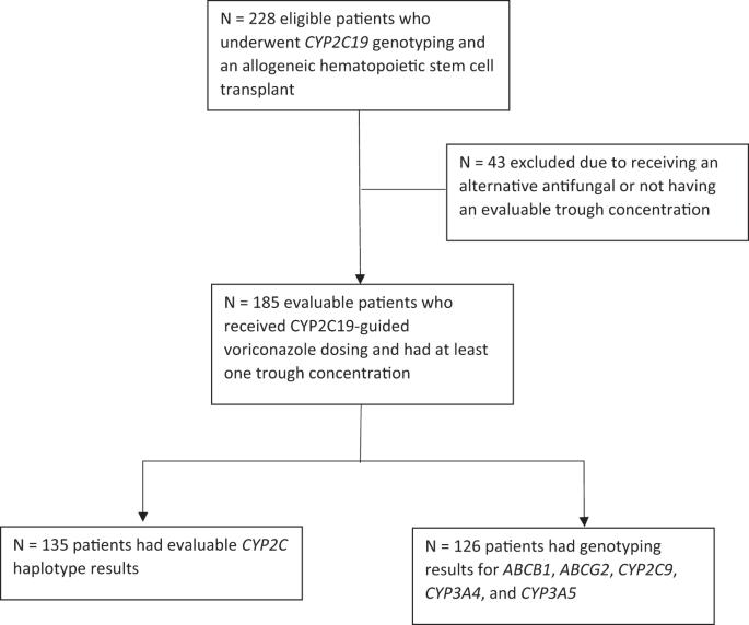 Pharmacogenetic and clinical predictors of voriconazole concentration in hematopoietic stem cell transplant recipients receiving CYP2C19-guided dosing