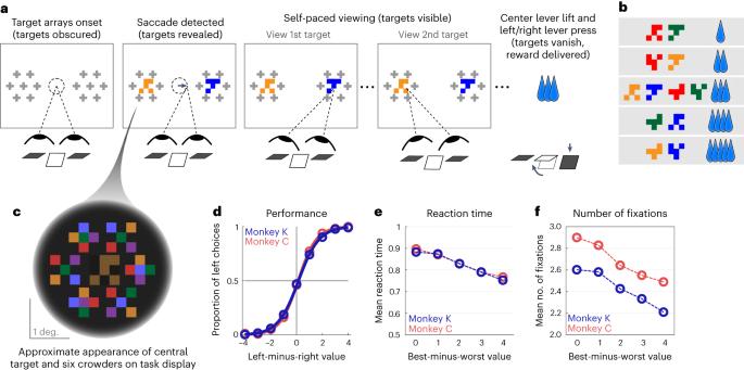 Behavioral read-out from population value signals in primate orbitofrontal cortex