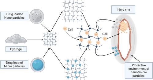 Potential injectable hydrogels as biomaterials for central nervous system injury: A narrative review