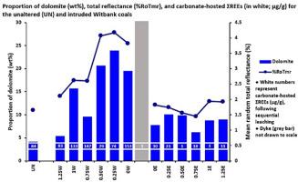 Enrichment of rare earth elements in epigenetic dolomite occurring in contact metamorphosed Witbank coals (South Africa)