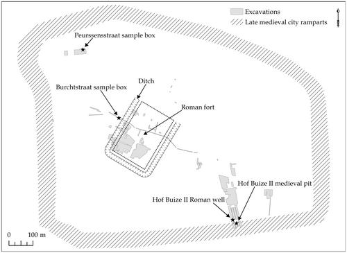 The Roman to medieval landscape transformation at Aardenburg (southern The Netherlands) based on palynology and diatom analysis