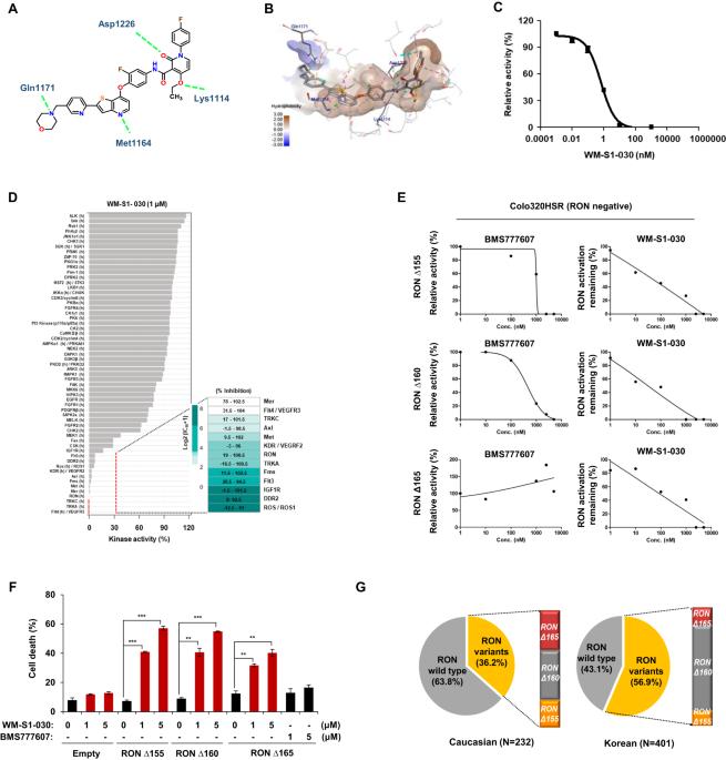 Targeting isoforms of RON kinase (MST1R) drives antitumor efficacy