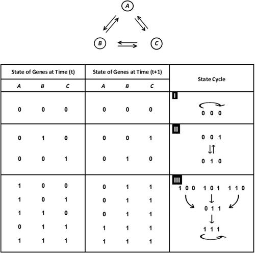 Rethinking cancer initiation: The role of large-scale mutational events