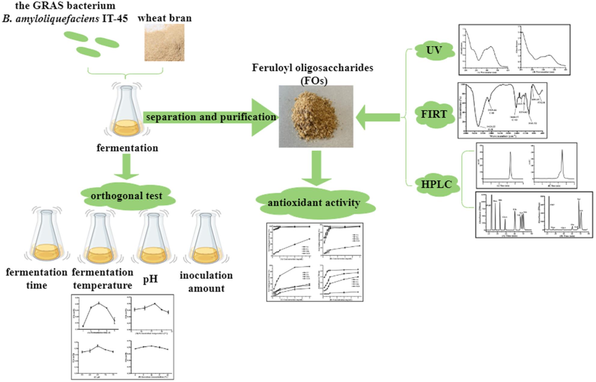 Antioxidant properties of wheat bran FOs prepared by Bacillus amyloliquefaciens IT-45 fermentation