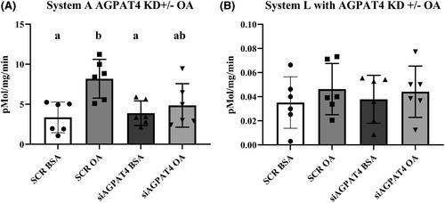 Oleic acid stimulation of amino acid uptake in primary human trophoblast cells is mediated by phosphatidic acid and mTOR signaling