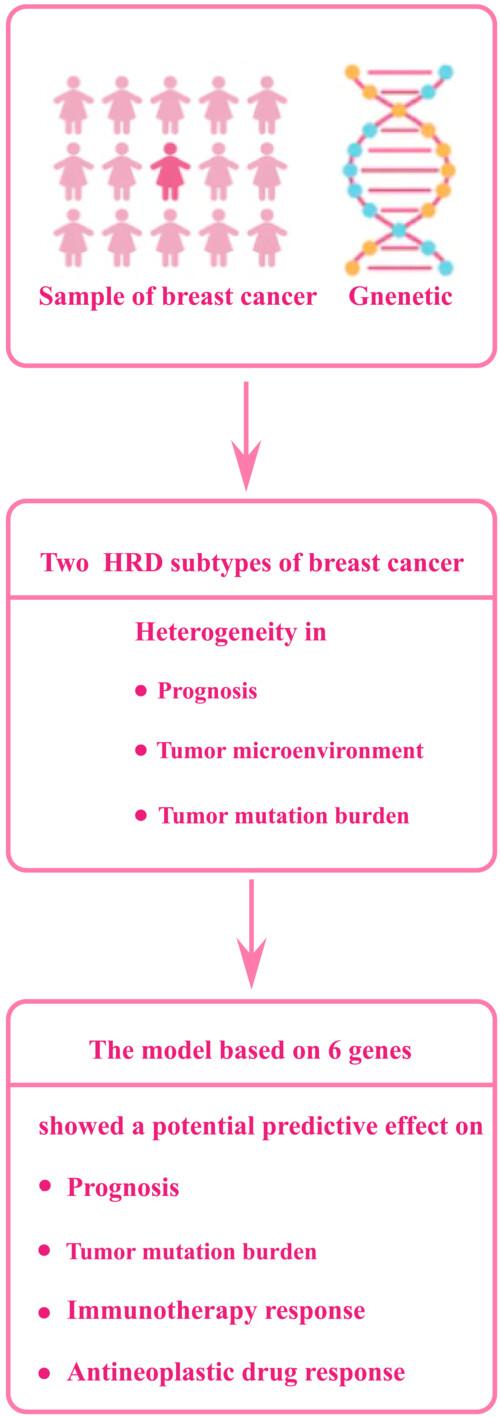 Homologous recombination deficiency reflects the heterogeneity and monitoring treatment response for patients with breast cancer