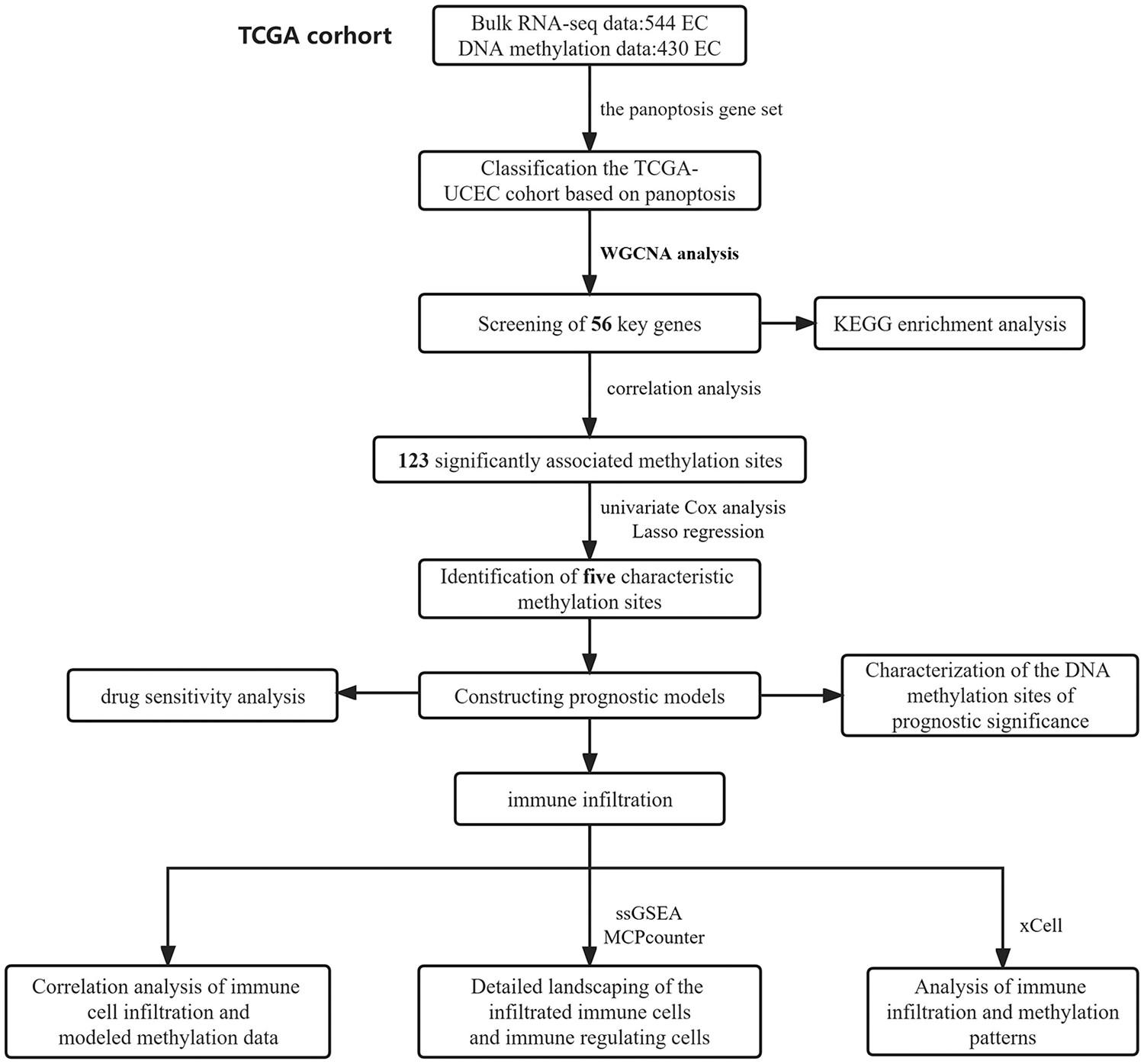 Prognostic evaluation of the novel blueprint of DNA methylation sites by integrating bulk RNA-sequencing and methylation modification data in endometrial cancer