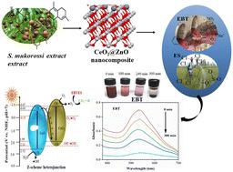 Highly efficient sunlight-driven photo-adsorptive degradation of organic pollutants by green synthesized Z-scheme heterojunction CeO2@ZnO nanocomposite†