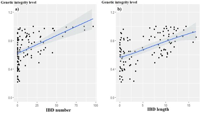 IBD sharing patterns as intra-breed admixture indicators in small ruminants