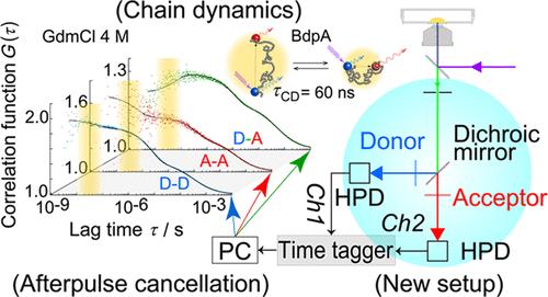 Simple and Efficient Detection Scheme of Two-Color Fluorescence Correlation Spectroscopy for Protein Dynamics Investigation from Nanoseconds to Milliseconds