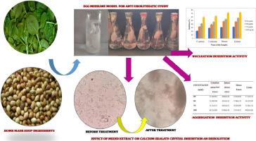 An in vitro Anti-urolithiasis Activity of a Herbal Formulation: Spinacia oleracea L. and Coriandrum sativum L.