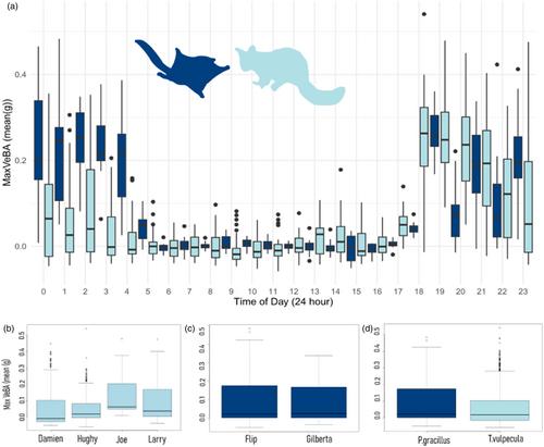 Comparative analysis of behavioural repertoires for Mahogany glider and Brushtail possum using accelerometer loggers and machine learning algorithms