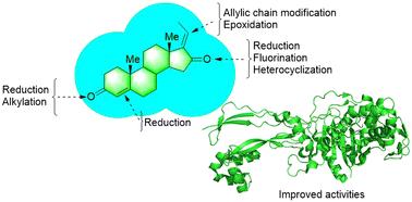 Guggulsterone – a potent bioactive phytosteroid: synthesis, structural modification, and its improved bioactivities