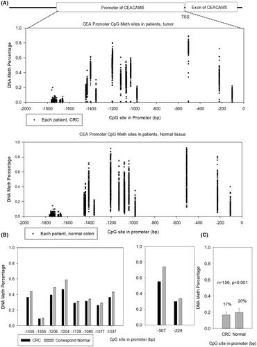 Detection and clinical significance of CEACAM5 methylation in colorectal cancer patients