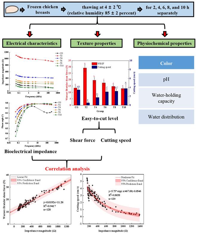 Analysis of the suitable thawing endpoint of the frozen chicken breast using video recording analysis, shear force, and bioelectrical impedance measurement