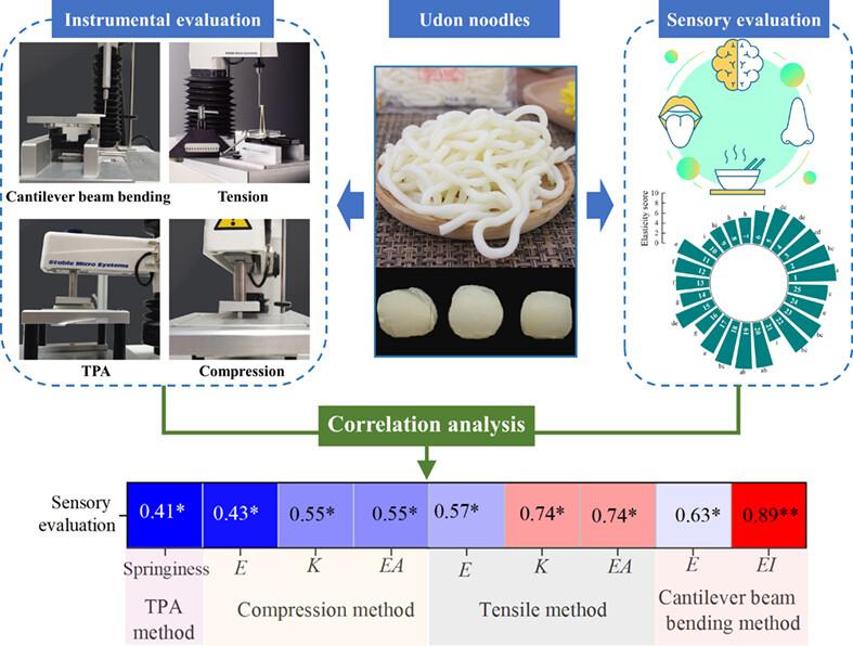 Cantilever beam bending as a potential method to determine the elasticity of cooked Udon noodles