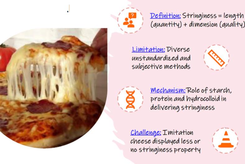 A review on stringiness property of cheese and the measuring technique