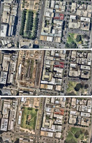 Tree removals as socioecological experiments in cities