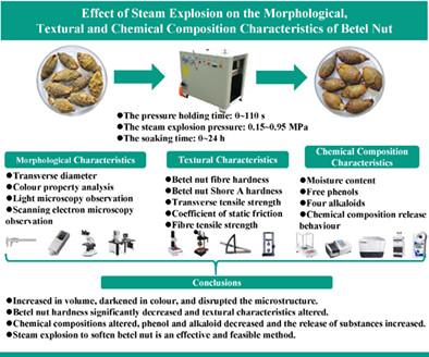 Effect of steam explosion on the morphological, textural, and compositional characteristics of betel nut