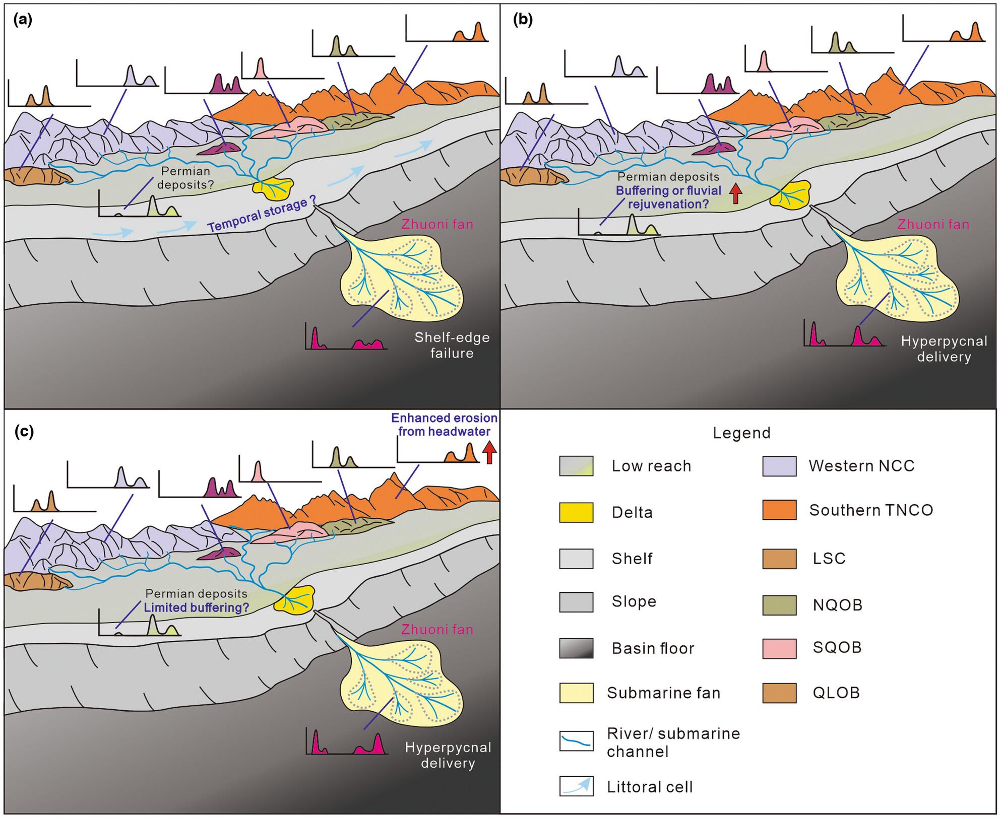 High-frequency temporal variability of provenance signal in the submarine fan with the narrow shelf: Insights from sediment delivery and formation of late Triassic Zhuoni fan in the northeastern Paleo-Tethys Ocean