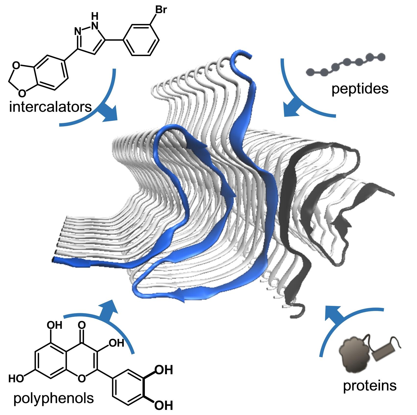 Navigating α-Synuclein Aggregation Inhibition: Methods, Mechanisms, and Molecular Targets