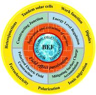 Reinforcing built-in electric field to enable efficient carrier extraction for high-performance perovskite solar cells