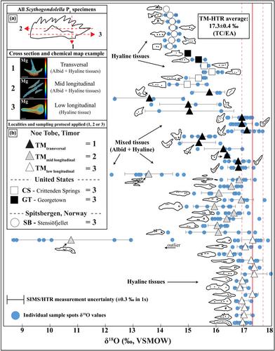 New Insights on Micro-Scale Variations of Geochemical and Oxygen Isotope Compositions in Conodont and Shark Tooth Bioapatite