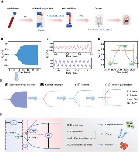 Viscoelastic blood coagulation testing system enabled by a non-contact triboelectric angle sensor