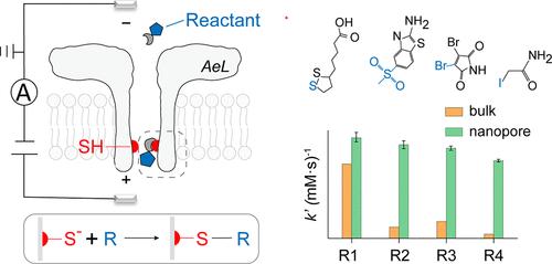 Electrochemical Visualization of Single-Molecule Thiol Substitution with Nanopore Measurement