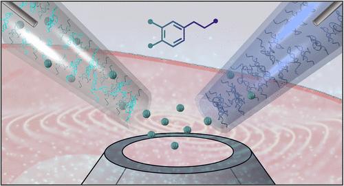 Interfacing Aptamer-Modified Nanopipettes with Neuronal Media and Ex Vivo Brain Tissue