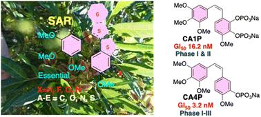 Discovery, synthesis, activities, structure–activity relationships, and clinical development of combretastatins and analogs as anticancer drugs. A comprehensive review†‡